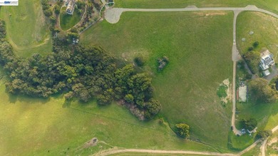 Over 20 acres of stunning land in the Bay Area with 360-degree - photo 19