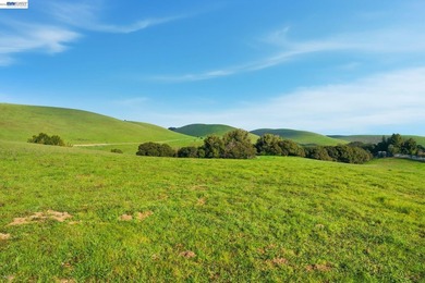 Over 20 acres of stunning land in the Bay Area with 360-degree - photo 27