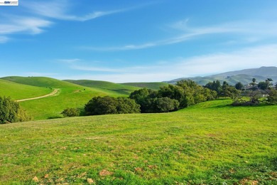 Over 20 acres of stunning land in the Bay Area with 360-degree - photo 28