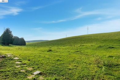 Over 20 acres of stunning land in the Bay Area with 360-degree - photo 29