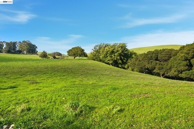 Over 20 acres of stunning land in the Bay Area with 360-degree - photo 31