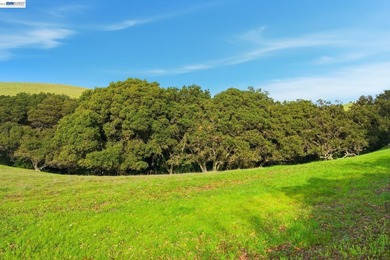 Over 20 acres of stunning land in the Bay Area with 360-degree - photo 32