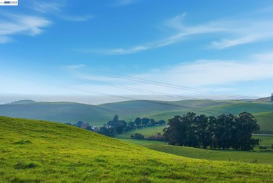 Over 20 acres of stunning land in the Bay Area with 360-degree - photo 34