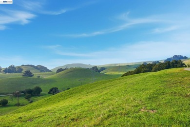 Over 20 acres of stunning land in the Bay Area with 360-degree - photo 35