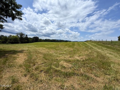 Douglas Lake Acreage For Sale in Newport Tennessee