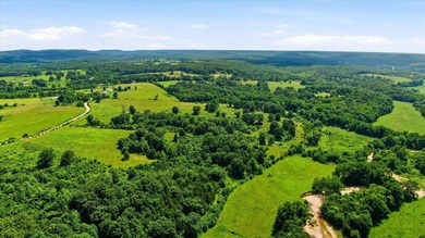 Experience the beauty of 118 acres of stunning Ozark farmland - photo 12