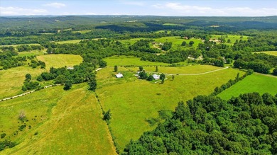 Experience the beauty of 118 acres of stunning Ozark farmland - photo 22