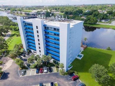 (private lake, pond, coastal) Condo For Sale in Tampa Florida