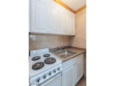 Affordable Lakewood living awaits with this studio unit at Lake - photo 4