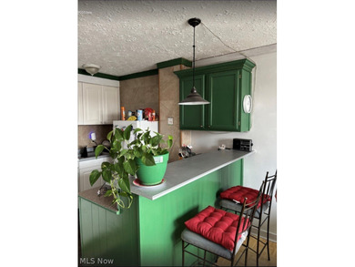 Affordable Lakewood living awaits with this studio unit at Lake - photo 5