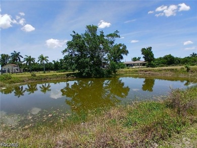 Private Country Living with Modern Updates on 2.5 Acres! Escape - photo 35