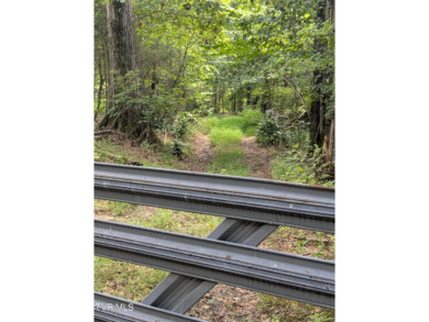 Lake Acreage For Sale in Piney Flats, Tennessee