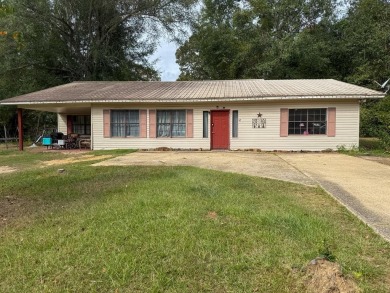 Lake Hillsdale Home For Sale in Lumberton Mississippi