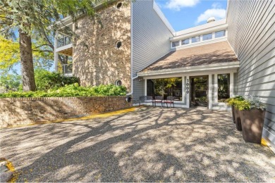 Lake Condo For Sale in Minnetonka, Minnesota
