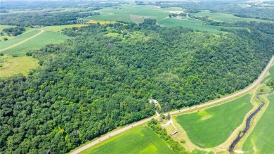 Lake Pepin  Acreage Sale Pending in Bay City Wisconsin