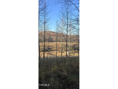 Check out this beautiful tract of land in rural Hancock County - photo 11
