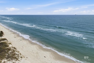 Build your dream coastal retreat in beautiful Fort Morgan - photo 13