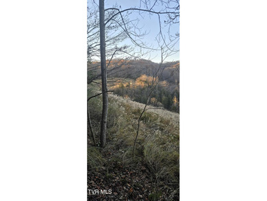 Check out this beautiful tract of land in rural Hancock County - photo 13