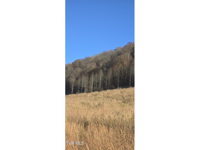 Check out this beautiful tract of land in rural Hancock County - photo 16