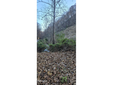 Check out this beautiful tract of land in rural Hancock County - photo 17