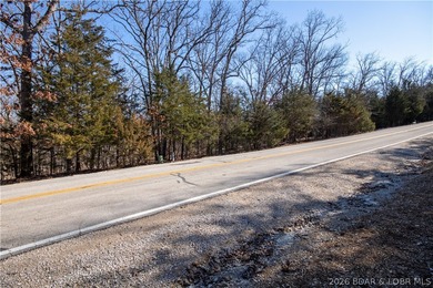 Flat 0.4-acre lot located in Four Seasons POA, offering an - photo 4