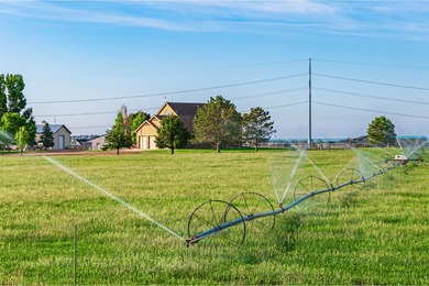 Hansen Farm is a rare combination of privacy, production, and - photo 2