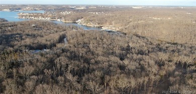 Don't miss this rare opportunity to own a nice, gentle 3 acre - photo 2
