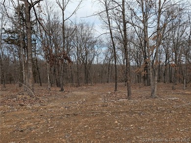 Don't miss this rare opportunity to own a nice, gentle 3 acre - photo 4