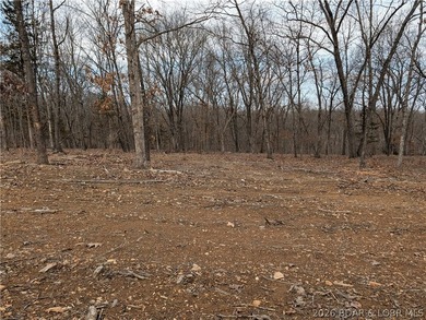 Don't miss this rare opportunity to own a nice, gentle 3 acre - photo 5
