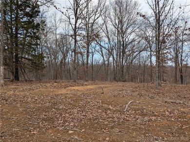 Don't miss this rare opportunity to own a nice, gentle 3 acre - photo 6