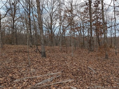 Don't miss this rare opportunity to own a nice, gentle 3 acre - photo 7