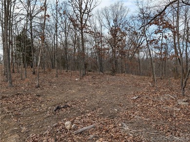 Don't miss this rare opportunity to own a nice, gentle 3 acre - photo 8