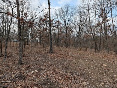 Don't miss this rare opportunity to own a nice, gentle 3 acre - photo 9