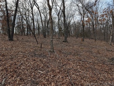 Don't miss this rare opportunity to own a nice, gentle 3 acre - photo 10