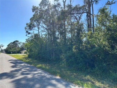 ***CITY WATER LOT****Great opportunity to own this vacant - photo 4