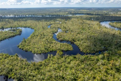 Peace River - Charlotte County Acreage For Sale in Arcadia Florida