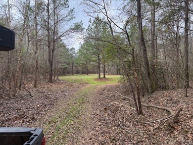 (private lake, pond, coastal) Acreage For Sale in Prattville Alabama