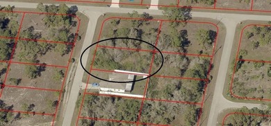 Lehigh Acres Area Lot For Sale in Lehigh Acres Florida
