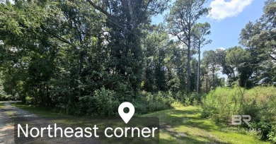 Lake Lot For Sale in Summerdale, Alabama