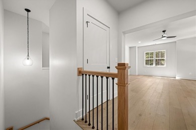 Beautiful new construction just minutes from downtown Clemson - photo 36