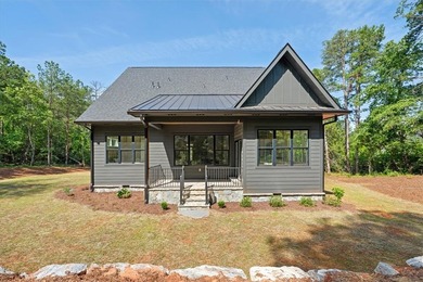Beautiful new construction just minutes from downtown Clemson - photo 37