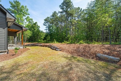 Beautiful new construction just minutes from downtown Clemson - photo 39