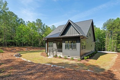 Beautiful new construction just minutes from downtown Clemson - photo 40