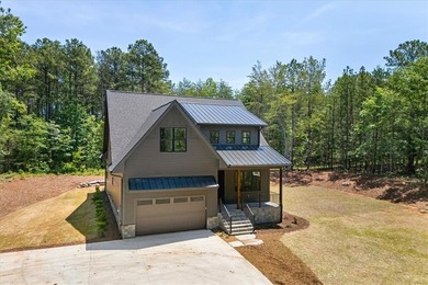 Beautiful new construction just minutes from downtown Clemson - photo 41