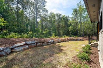 Beautiful new construction just minutes from downtown Clemson - photo 44