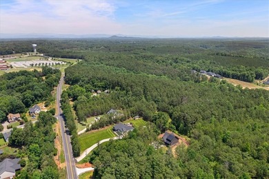 Beautiful new construction just minutes from downtown Clemson - photo 45
