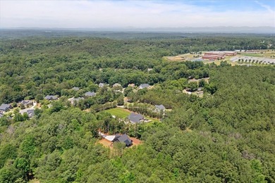 Beautiful new construction just minutes from downtown Clemson - photo 46