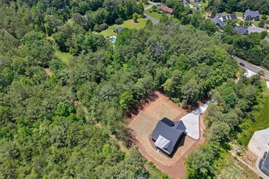 Beautiful new construction just minutes from downtown Clemson - photo 47