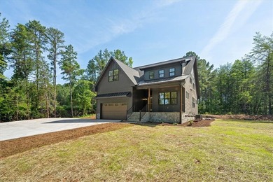Beautiful new construction just minutes from downtown Clemson - photo 48