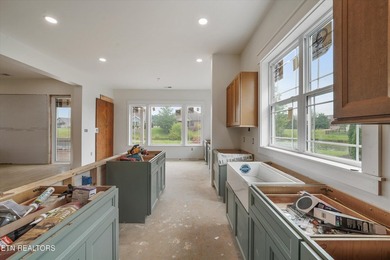 This new construction home is almost done! What we love about - photo 17